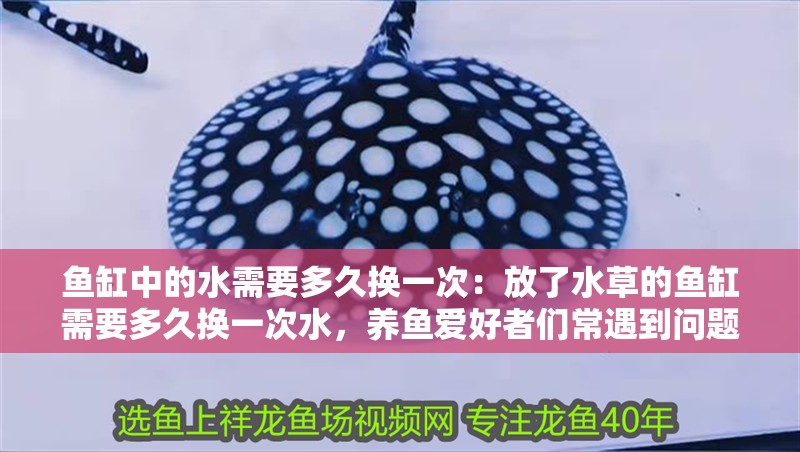 魚缸中的水需要多久換一次：放了水草的魚缸需要多久換一次水，養魚愛好者們常遇到問題