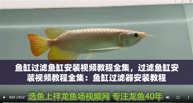 魚缸過濾魚缸安裝視頻教程全集，過濾魚缸安裝視頻教程全集：魚缸過濾器安裝教程