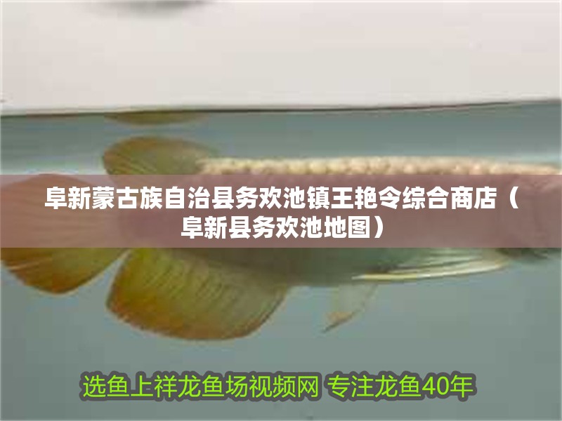 阜新蒙古族自治縣務歡池鎮王艷令綜合商店（阜新縣務歡池地圖）