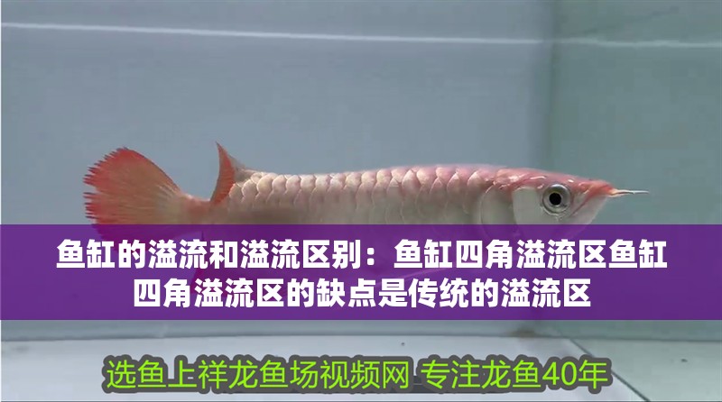 魚缸的溢流和溢流區別：魚缸四角溢流區魚缸四角溢流區的缺點是傳統的溢流區