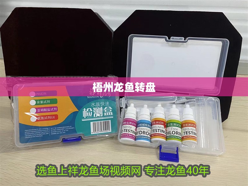 <strong><mark>梧州</mark></strong>龍魚轉(zhuǎn)盤