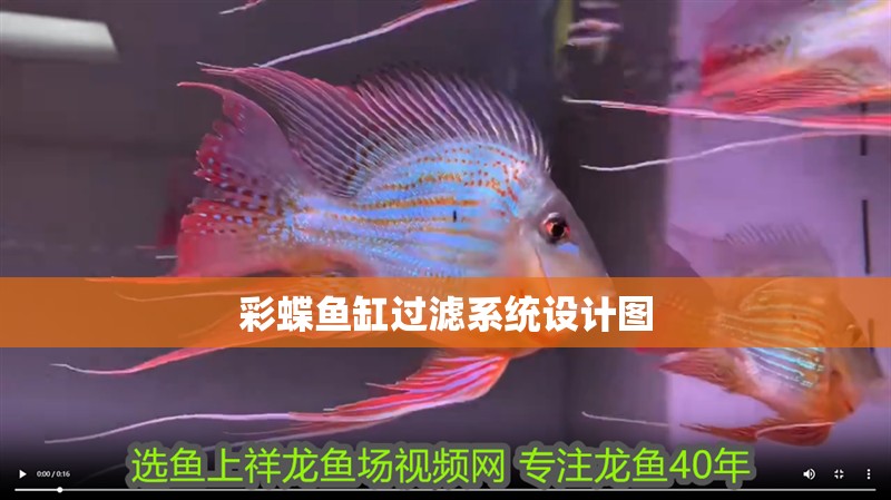 彩蝶魚缸過濾系統設計圖