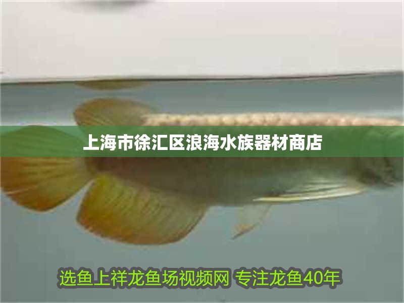 上海市徐匯區(qū)浪海水族器材商店