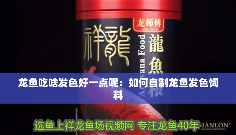 龍魚吃啥發色好一點呢：如何自制龍魚發色飼料