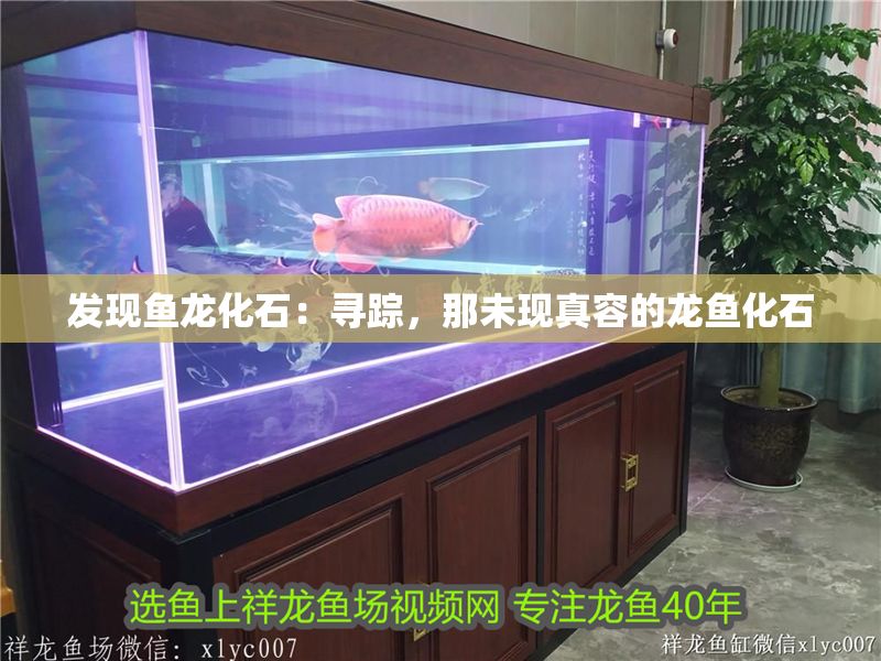 發現魚龍化石：尋蹤，那未現真容的龍魚化石