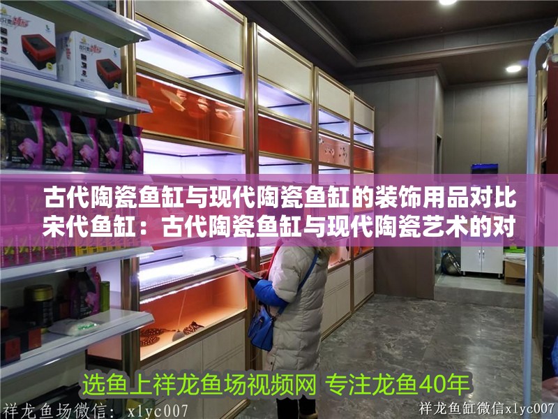 古代陶瓷魚缸與現(xiàn)代陶瓷魚缸的裝飾用品對比宋代魚缸：古代陶瓷魚缸與現(xiàn)代陶瓷藝術(shù)的對比