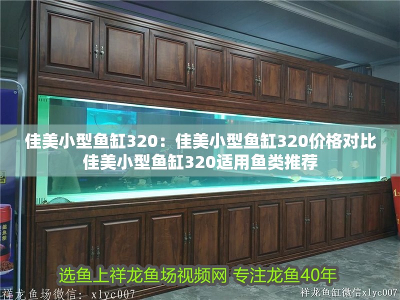 佳美小型魚缸320：佳美小型魚缸320價格對比佳美小型魚缸320適用魚類推薦