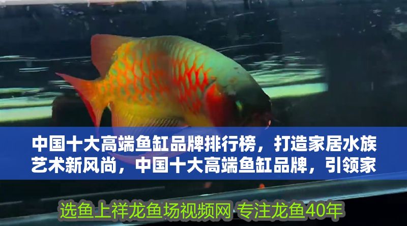 中國十大高端魚缸品牌排行榜，打造家居水族藝術(shù)新風(fēng)尚，中國十大高端魚缸品牌，引領(lǐng)家居水族藝術(shù)新潮流
