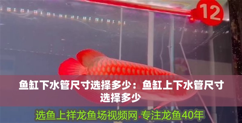 魚缸下水管尺寸選擇多少：魚缸上下水管尺寸選擇多少 魚缸下水管尺寸選擇多少：魚缸上下水管尺寸選擇多少 魚缸百科