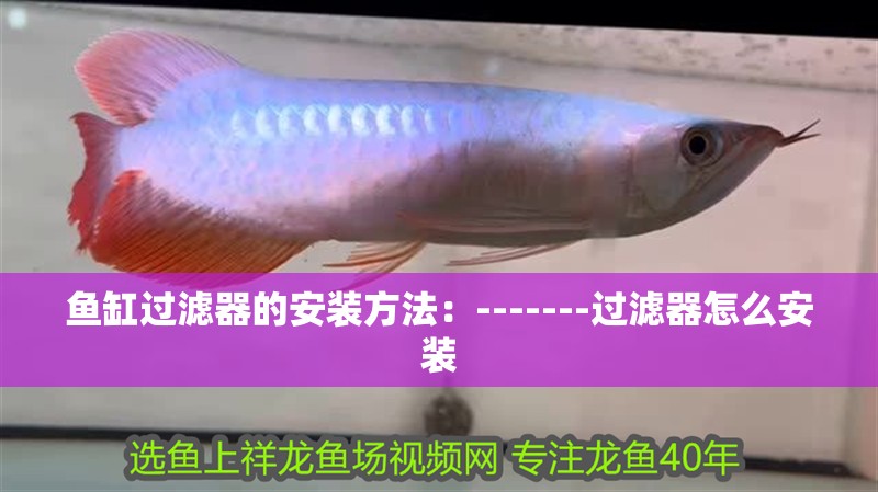 魚缸過(guò)濾器的安裝方法：-------過(guò)濾器怎么安裝