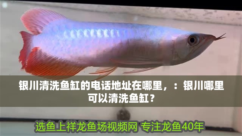 銀川清洗魚缸的電話地址在哪里，：銀川哪里可以清洗魚缸？