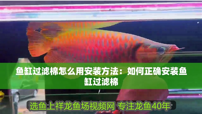 魚缸過濾棉怎么用安裝方法：如何正確安裝魚缸過濾棉