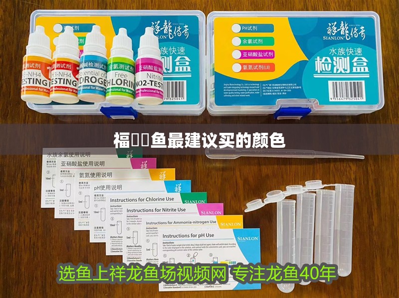 福魟魟魚最建議買的顏色