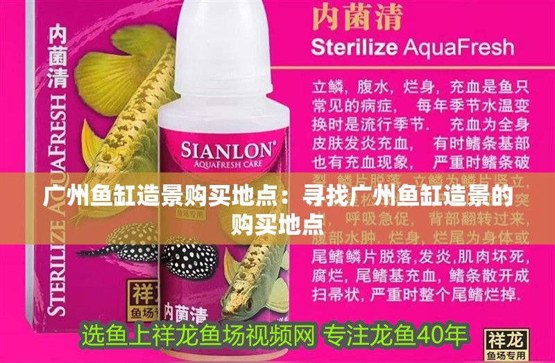 廣州魚缸造景購買地點(diǎn)：尋找廣州魚缸造景的購買地點(diǎn)