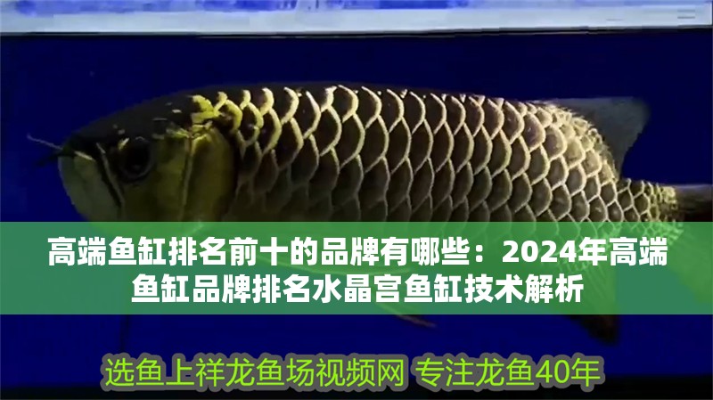 高端魚缸排名前十的品牌有哪些：2024年高端魚缸品牌排名水晶宮魚缸技術解析