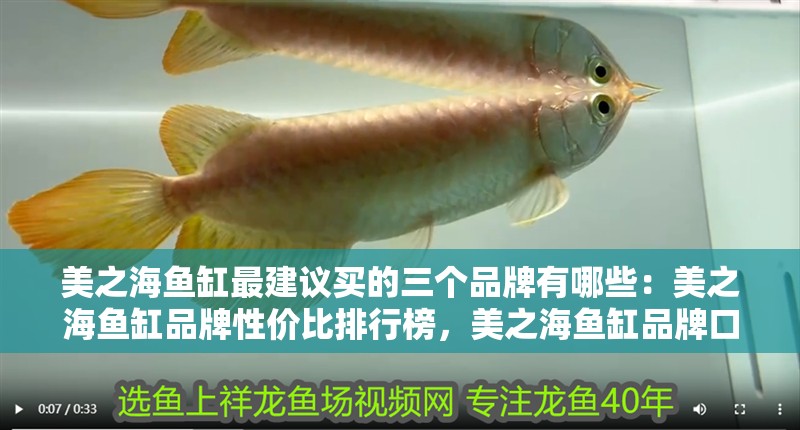 美之海魚缸最建議買的三個品牌有哪些：美之海魚缸品牌性價比排行榜，美之海魚缸品牌口碑對比