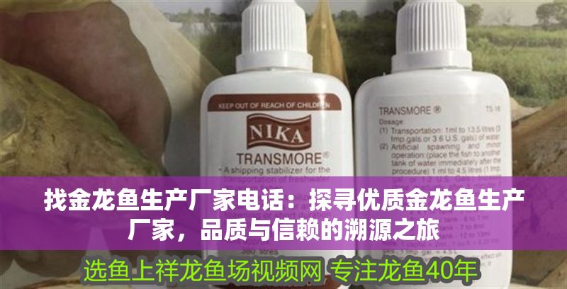 找金龍魚生產廠家電話：探尋優質金龍魚生產廠家，品質與信賴的溯源之旅