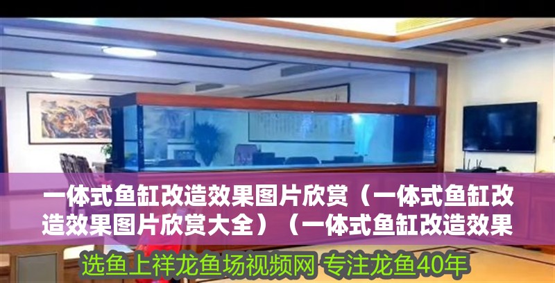 一體式魚(yú)缸改造效果圖片欣賞（一體式魚(yú)缸改造效果圖片欣賞大全）（一體式魚(yú)缸改造效果圖片欣賞）