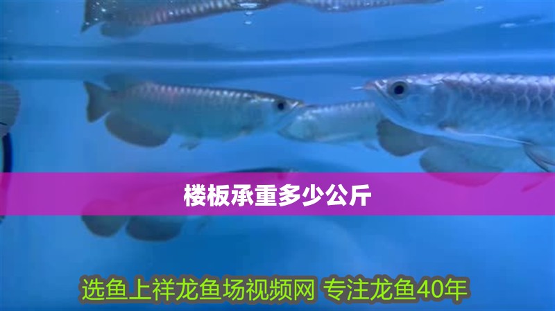 樓板承重多少公斤