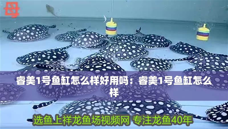 睿美1號魚缸怎么樣好用嗎：睿美1號魚缸怎么樣