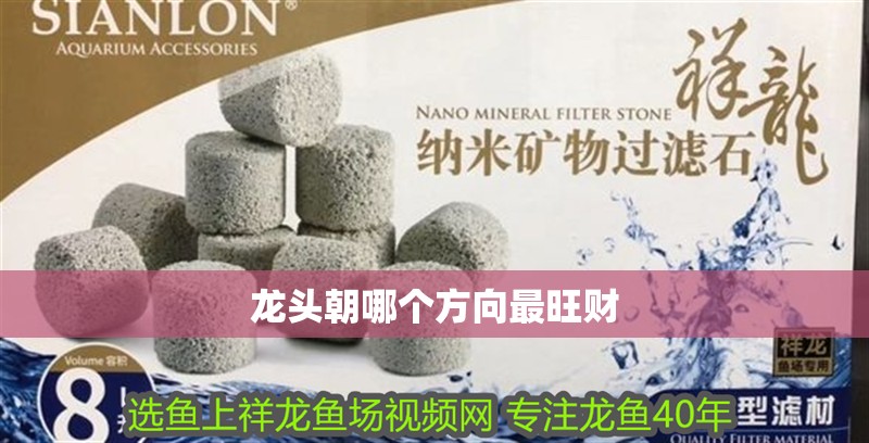 龍頭朝哪個方向最旺財