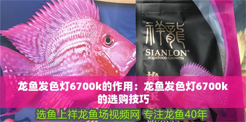 龍魚發色燈6700k的作用：龍魚發色燈6700k的選購技巧