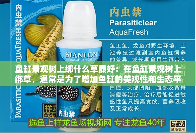 魚缸景觀樹上綁什么草最好：在魚缸景觀樹上綁草，通常是為了增加魚缸的美觀性和生態平衡