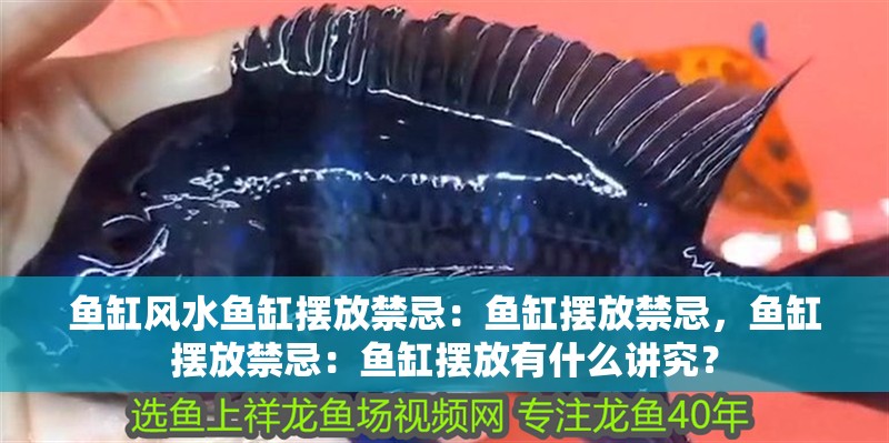 魚缸風水魚缸擺放禁忌：魚缸擺放禁忌，魚缸擺放禁忌：魚缸擺放有什么講究？