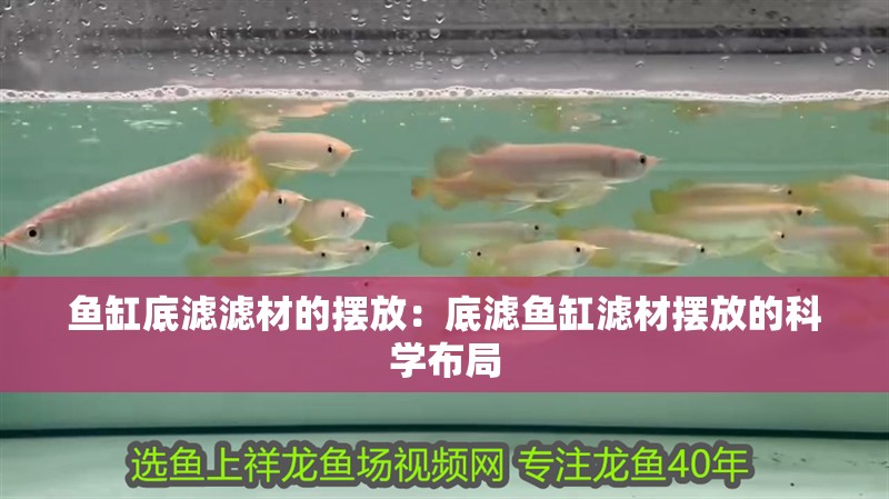 魚缸底濾濾材的擺放：底濾魚缸濾材擺放的科學布局