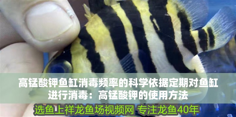 高錳酸鉀魚缸消毒頻率的科學依據定期對魚缸進行消毒：高錳酸鉀的使用方法