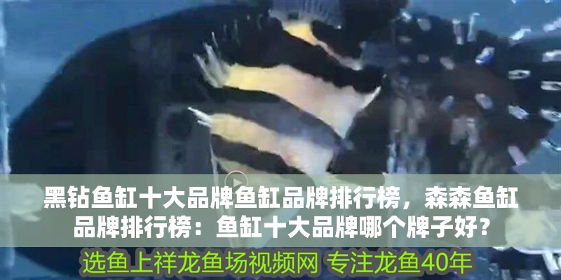 黑鉆魚缸十大品牌魚缸品牌排行榜，森森魚缸品牌排行榜：魚缸十大品牌哪個牌子好？