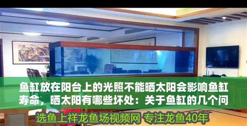 魚缸放在陽臺上的光照不能曬太陽會影響魚缸壽命，曬太陽有哪些壞處：關于魚缸的幾個問題