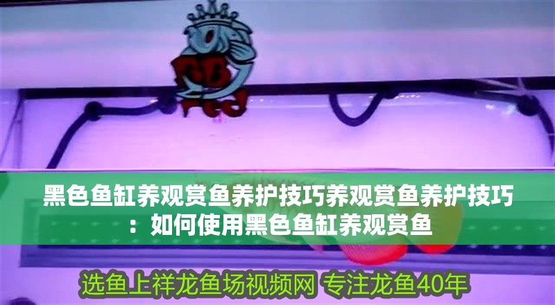 黑色魚缸養(yǎng)觀賞魚養(yǎng)護(hù)技巧養(yǎng)觀賞魚養(yǎng)護(hù)技巧：如何使用黑色魚缸養(yǎng)觀賞魚