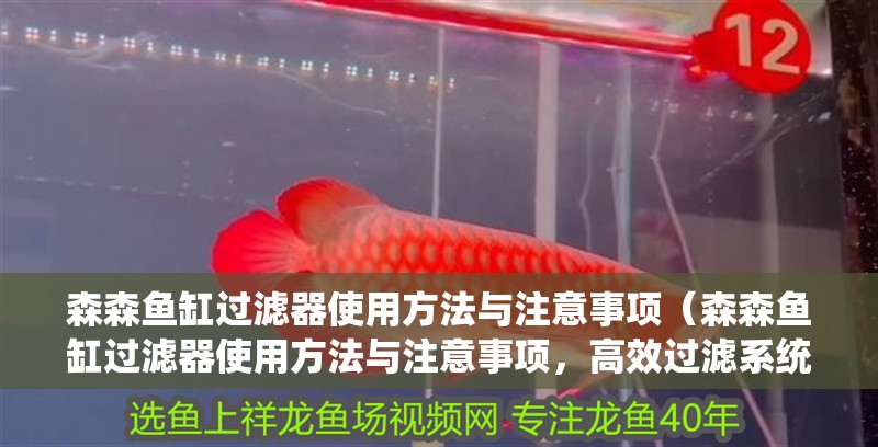 森森魚缸過濾器使用方法與注意事項（森森魚缸過濾器使用方法與注意事項，高效過濾系統確保水質純凈）