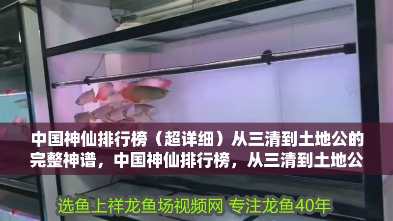 中國神仙排行榜（超詳細）從三清到土地公的完整神譜，中國神仙排行榜，從三清到土地公的完整神譜詳解