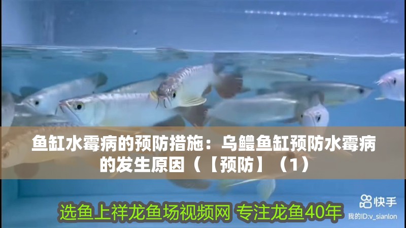 魚缸水霉病的預(yù)防措施：烏鱧魚缸預(yù)防水霉病的發(fā)生原因（【預(yù)防】（1）