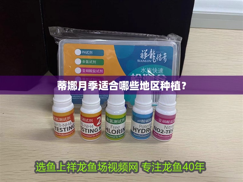 蒂娜月季適合哪些地區(qū)種植？