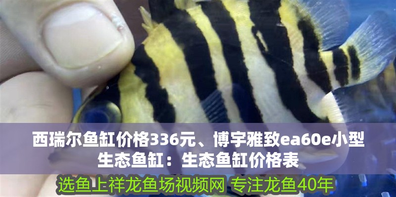 西瑞爾魚缸價(jià)格336元、博宇雅致ea60e小型生態(tài)魚缸：生態(tài)魚缸價(jià)格表