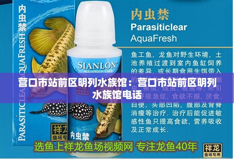 營口市站前區明列水族館：營口市站前區明列水族館電話