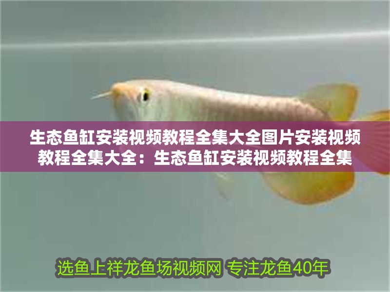 生態魚缸安裝視頻教程全集大全圖片安裝視頻教程全集大全：生態魚缸安裝視頻教程全集