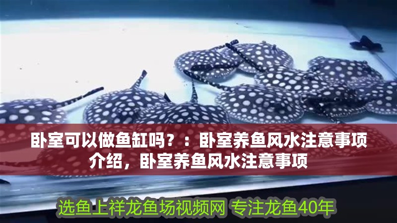 臥室可以做魚缸嗎？：臥室養(yǎng)魚風(fēng)水注意事項(xiàng)介紹，臥室養(yǎng)魚風(fēng)水注意事項(xiàng)