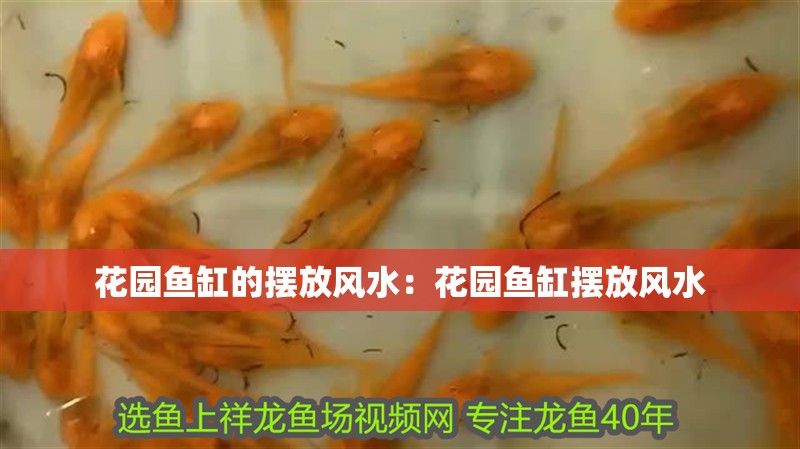 花園魚缸的擺放風水：花園魚缸擺放風水