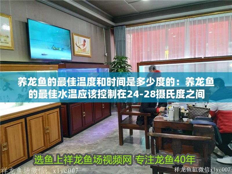 紅龍魚用黃燈烤有用嗎 養(yǎng)龍魚的最佳溫度和時(shí)間是多少度的:養(yǎng)龍魚的最佳水溫應(yīng)該控制在24-28攝氏度之間 龍魚百科 養(yǎng)龍魚的最佳溫度和時(shí)間是多少度的:養(yǎng)龍魚的最佳水溫應(yīng)該控制在24-28攝氏度之間 養(yǎng)龍魚的最佳溫度和時(shí)間是多少度的:養(yǎng)龍魚的最佳水溫應(yīng)該控制在24-28攝氏度之間 龍魚百科