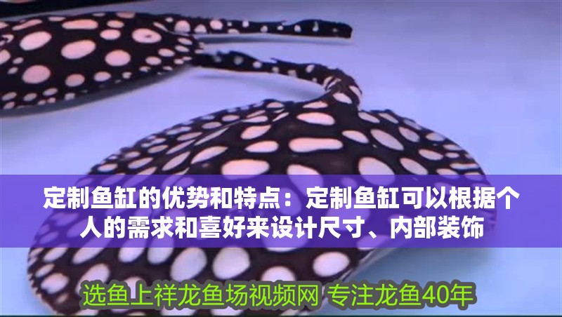 定制魚缸的優勢和特點：定制魚缸可以根據個人的需求和喜好來設計尺寸、內部裝飾