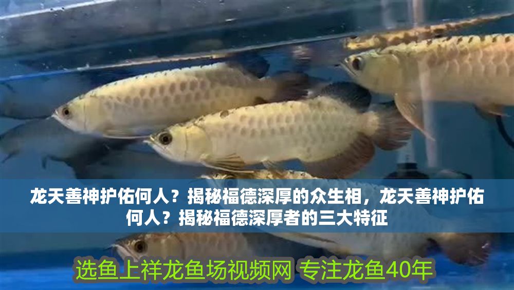 龍天善神護佑何人？揭秘福德深厚的眾生相，龍天善神護佑何人？揭秘福德深厚者的三大特征