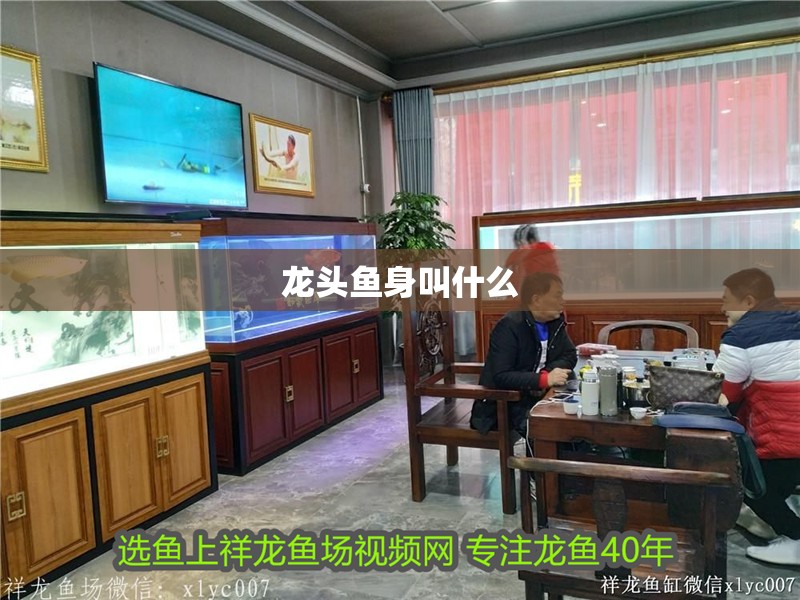 龍頭魚身叫什么