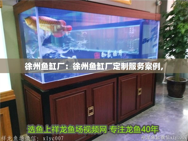 徐州魚缸廠：徐州魚缸廠定制服務案例,