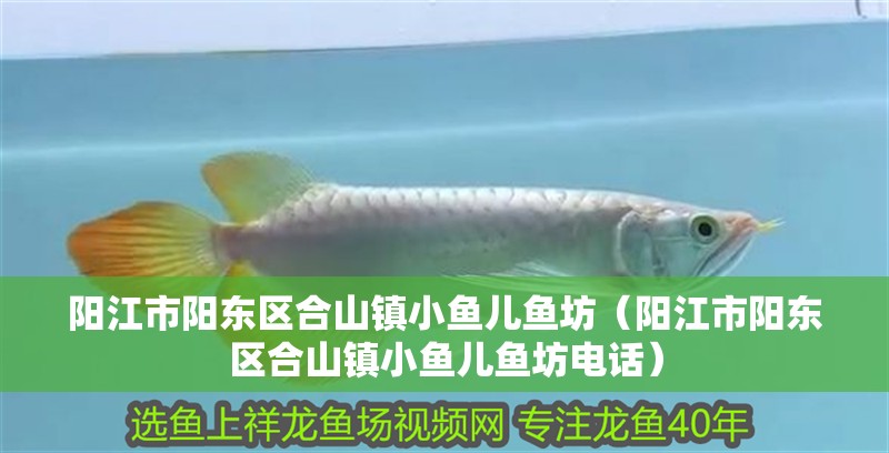 陽江市陽東區合山鎮小魚兒魚坊（陽江市陽東區合山鎮小魚兒魚坊電話）