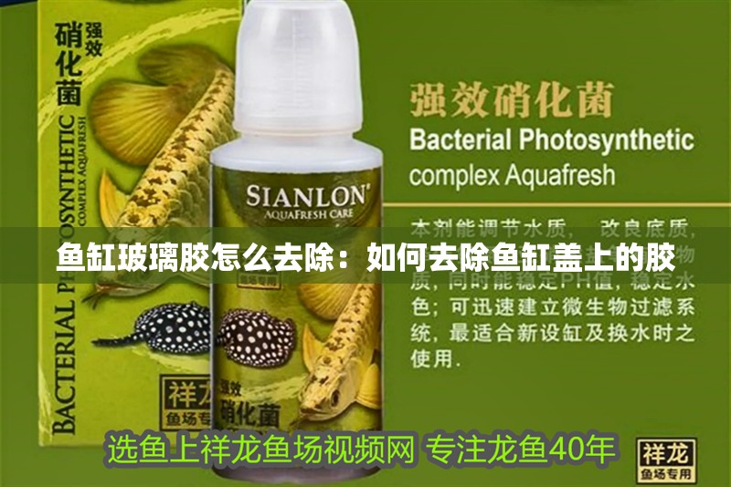 魚缸玻璃膠怎么去除：如何去除魚缸蓋上的膠