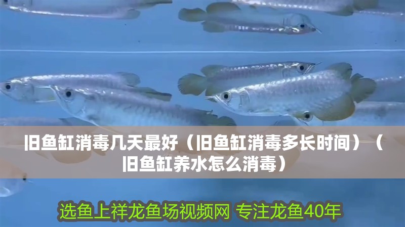 舊魚(yú)缸消毒幾天最好（舊魚(yú)缸消毒多長(zhǎng)時(shí)間）（舊魚(yú)缸養(yǎng)水怎么消毒）